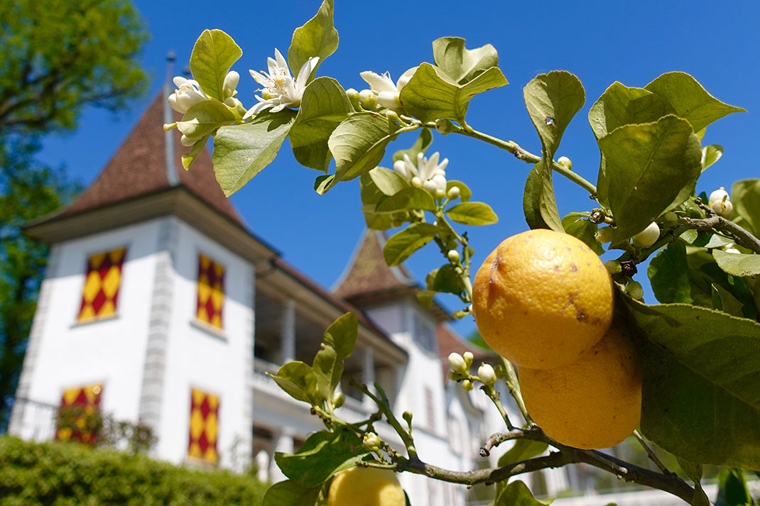 Waldegg Castle - Solothurn, Switzerland